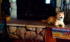 九游中国-奇迹之夜，芬兰冰封智利与贝林厄姆的个人英雄主义