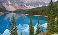 九游游戏-硬仗基因，从申城雷霆到明尼苏达狼嚎