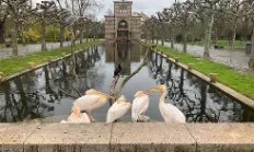 九游体育官方入口-斯图加特实现客场逆转，表现尽善尽美的简单介绍