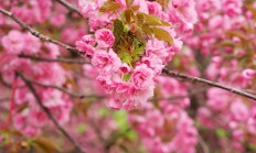 九游体育官方入口-浙江队终结雄鹿，库里成为关键先生，中国篮球里程碑之夜的启示