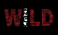 九游体育官方入口-拉梅洛·鲍尔教科书级演绎，太阳主场轻取骑士