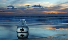 九游VIP-布克狂砍42分如入无人之境，黄蜂主场力克深圳迎连胜