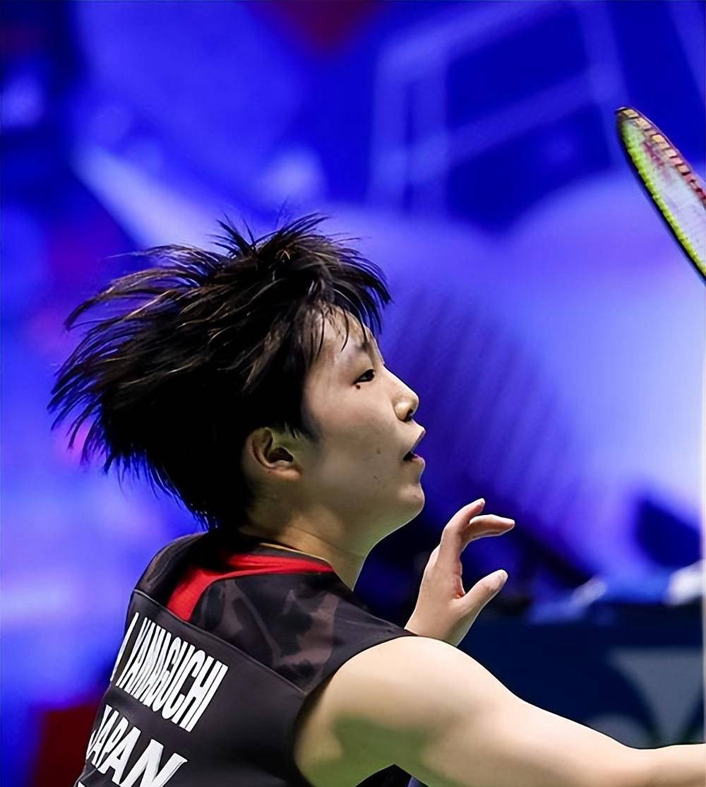 专家预测羽毛球胜率超六成，结果成焦点的简单介绍