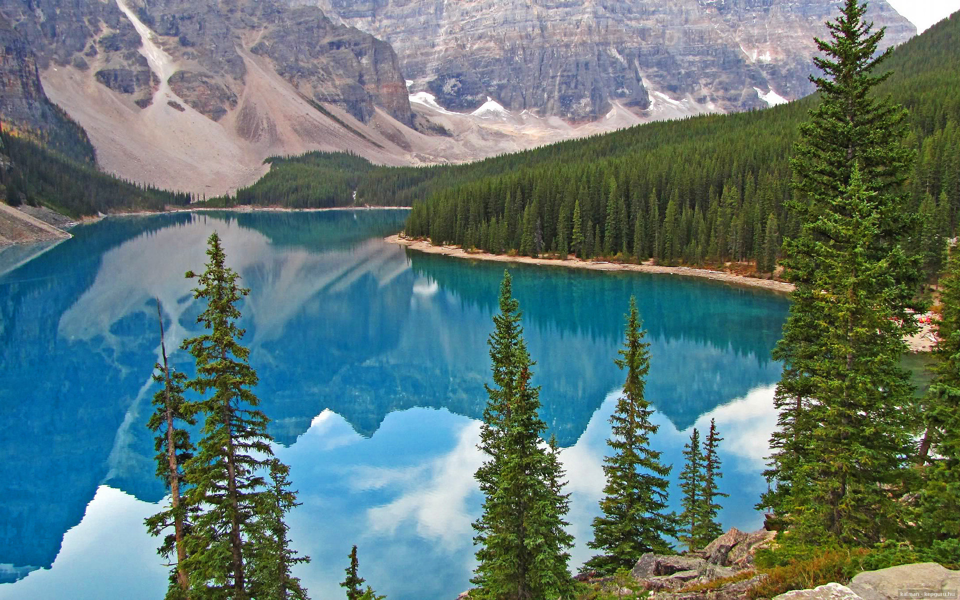 硬仗基因,从申城雷霆到明尼苏达狼嚎