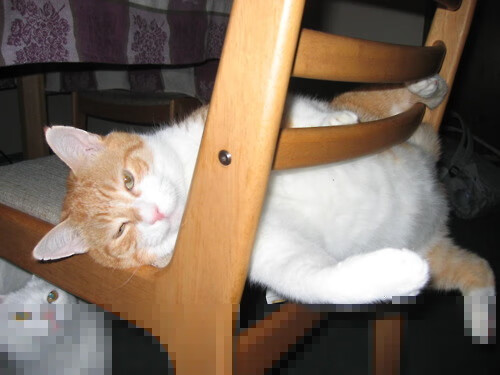 绿茵辩证法，当足球工厂输给人民军队