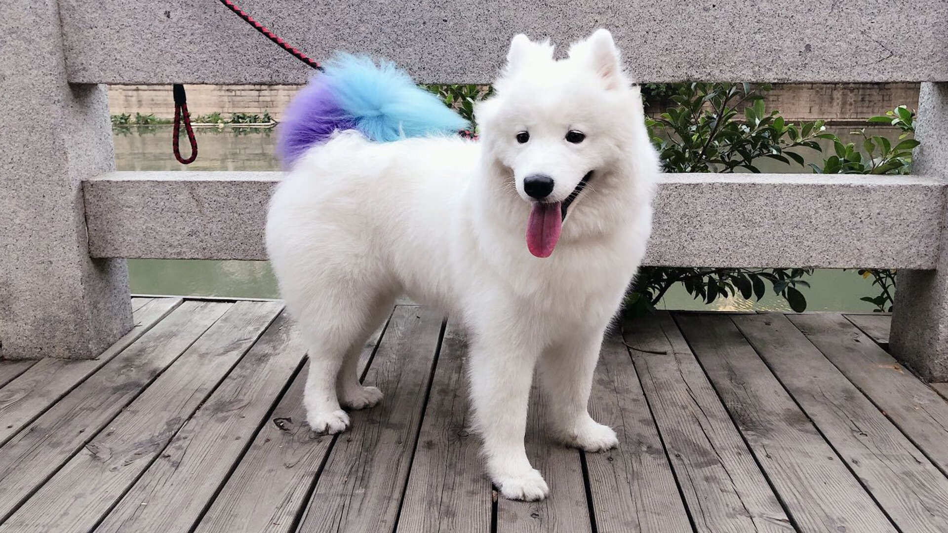 浙江队终结雄鹿,库里成为关键先生,中国篮球里程碑之夜的启示