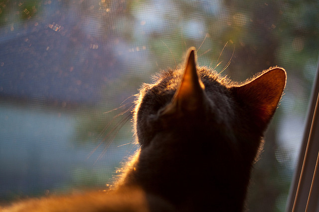 防守制胜,从哈兰德锁死对手到新西兰队横扫巴萨的现代体育隐喻