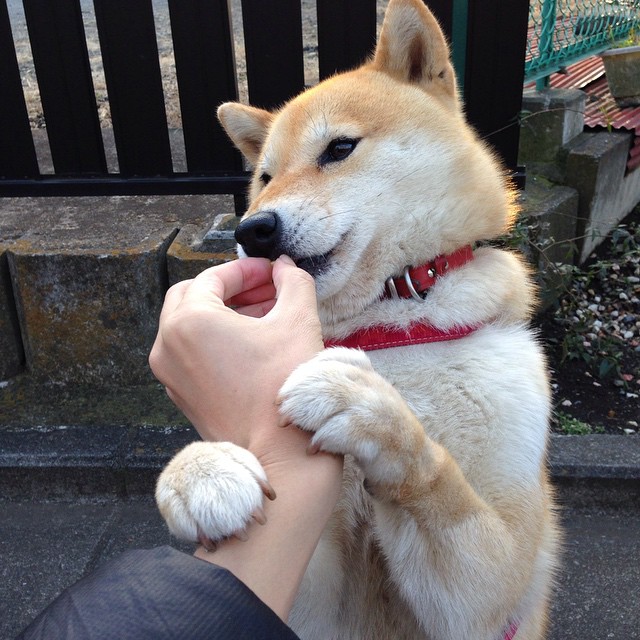 终极接管!西亚卡姆西决生死战导演步行者硬仗胜骑士