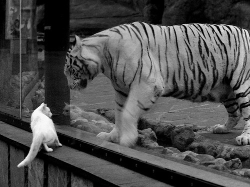 暗流汹涌的英超争冠夜,谁将一手掌控比赛走势?