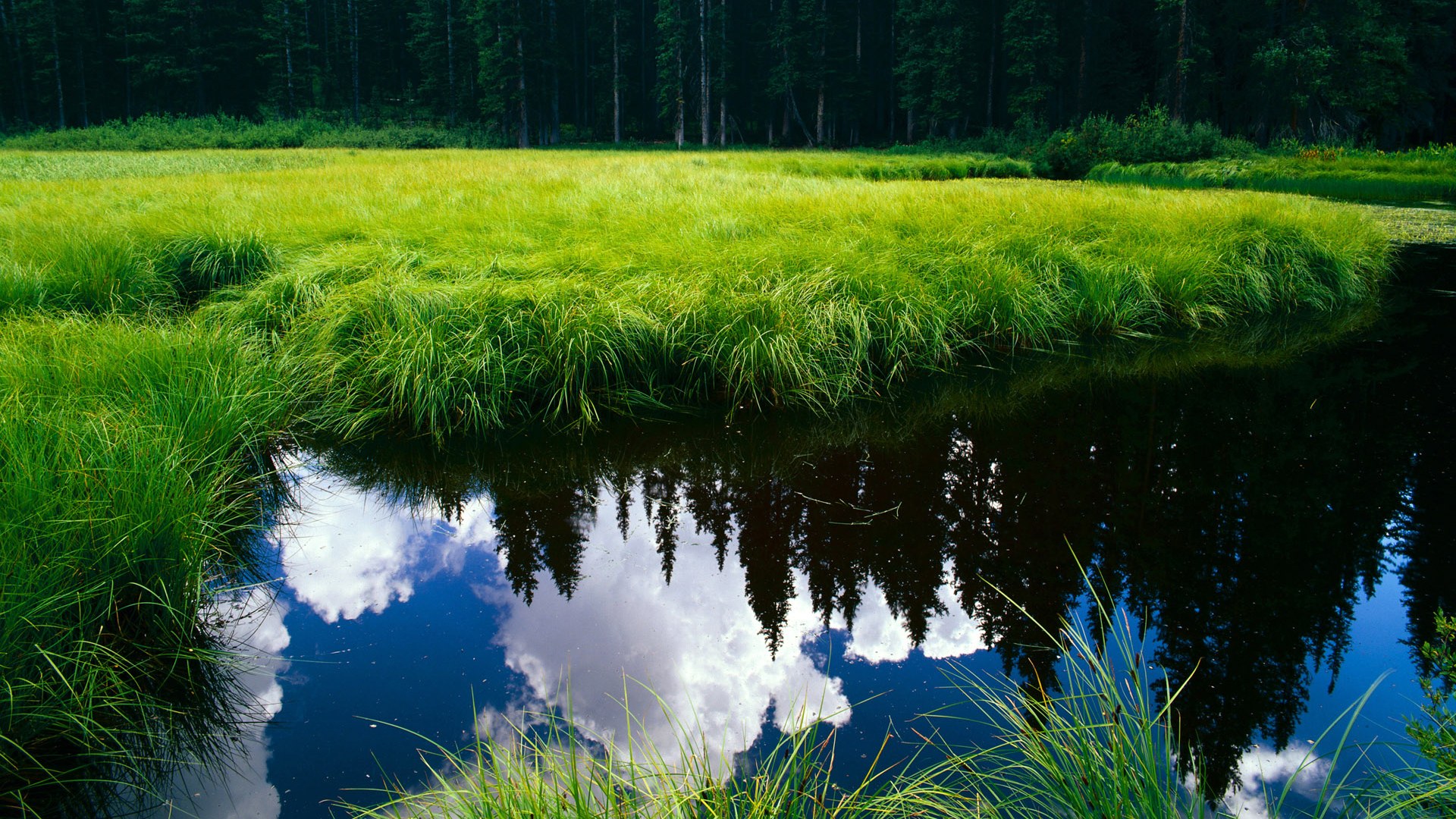 活塞淘汰猛龙欧文19+19封神!宿命对决铸就经典,控卫之神正名之战