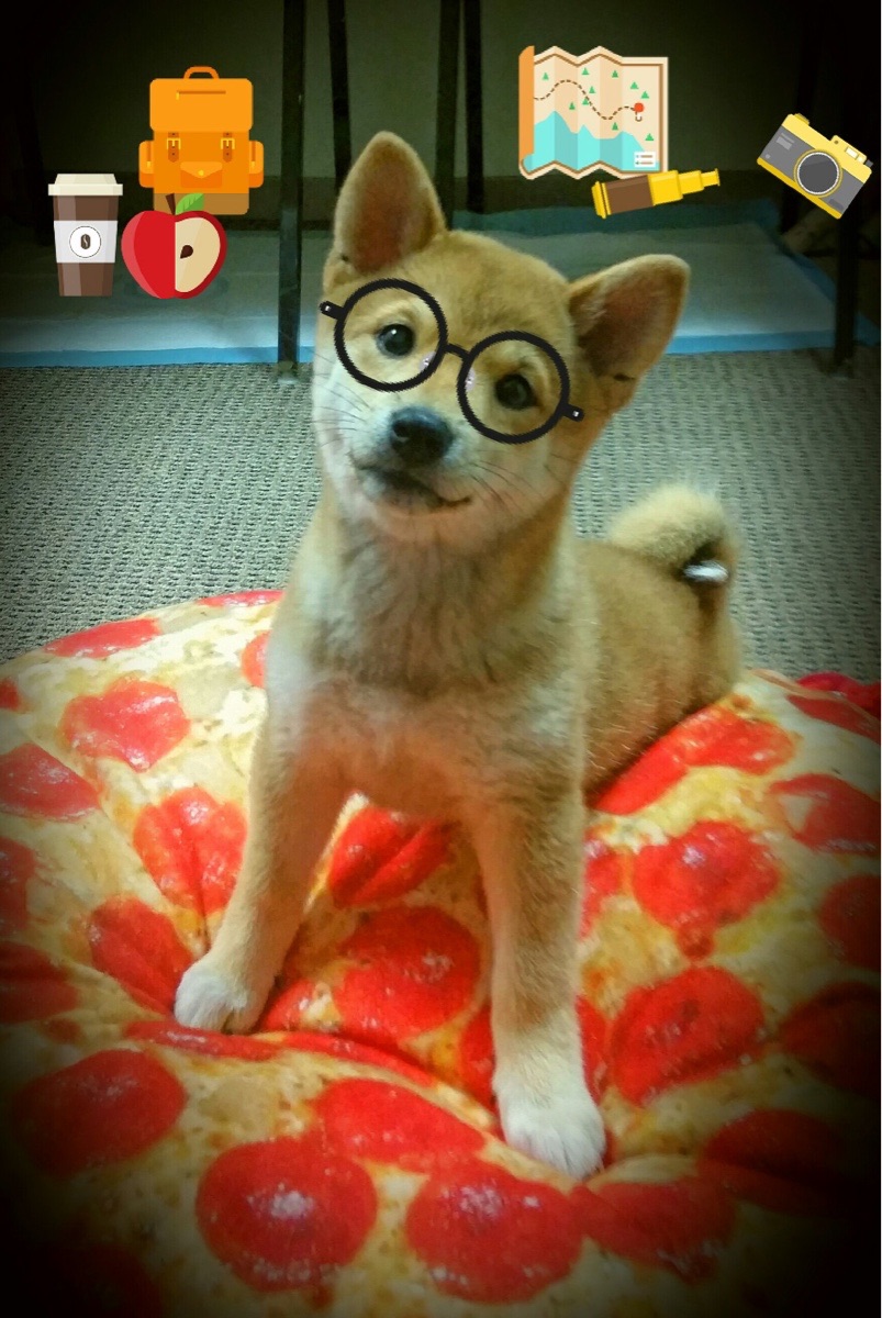 奥运周期淬炼关键战役 开拓者攻防制霸完胜吉林